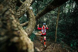 BIB: 
                            <button type="button" onclick="openModal(25704987)" class="btn btn-primary btn-sm float-right btn-popup" data-toggle="modal" data-target=".modal-high-quality">
                        <i class="fas fa-shopping-cart"></i> Add to Cart
                    </button>
                                            <button type="button" onclick="isThisMe(25704987, true)" class="btn btn-success btn-sm float-right btn-popup btn-isme hidden" data-toggle="tooltip" data-placement="bottom" title="นี่คือรูปของคุณใช่ไหม คลิกที่นี่เพื่อเอาเข้าอัลบั้ม">
                        <i class="fas fa-plus"></i> Add to album
                    </button>
                    <button type="button" onclick="isThisMe(25704987, false)" class="btn btn-warning btn-sm float-right btn-popup btn-isnotme hidden">
                        <i class="fas fa-ban"></i> Remove from album
                    </button>